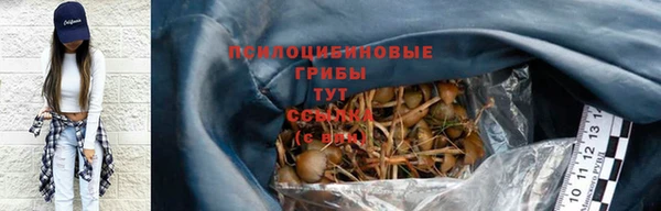 метадон Анжеро-Судженск