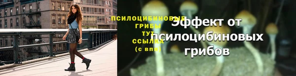 каннабис Корсаков