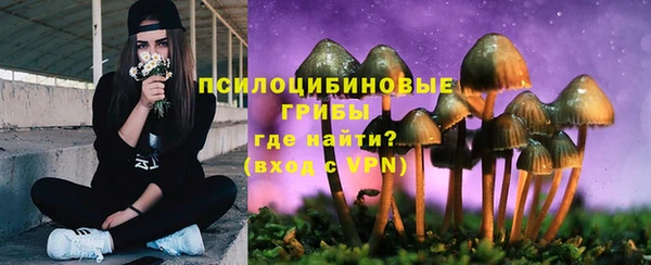 каннабис Корсаков