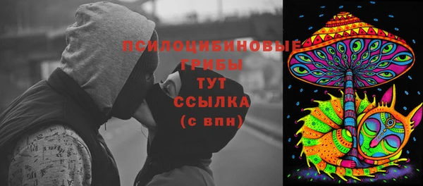 стафф Козловка