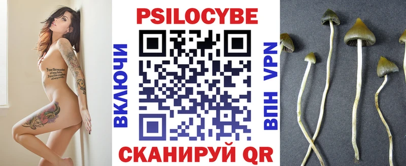 Галлюциногенные грибы ЛСД  Краснозаводск 